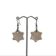 Ceramic Earrings