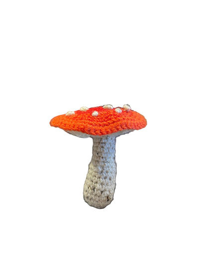 Crochet Mushroom Medium