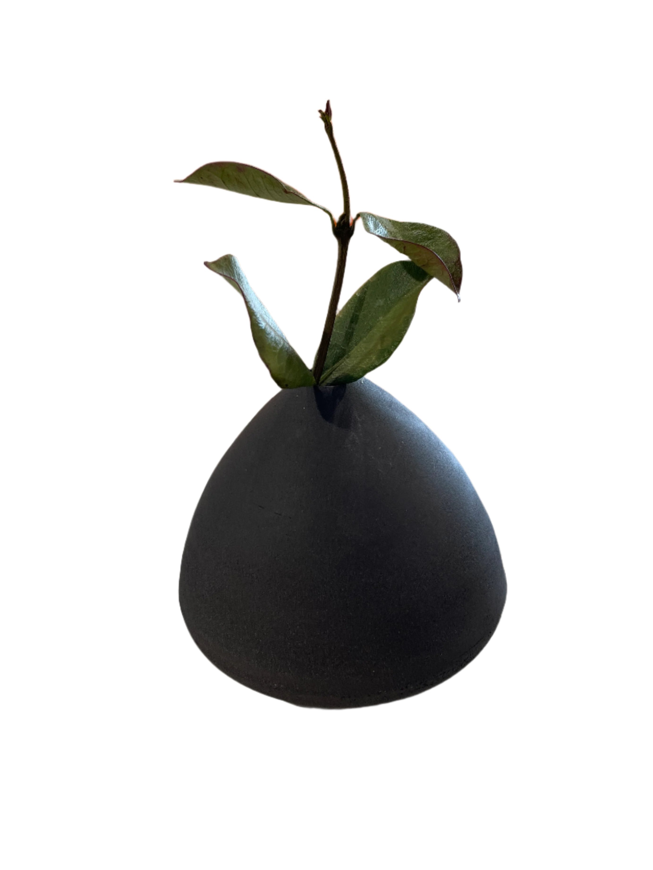 Black Vase - Medium