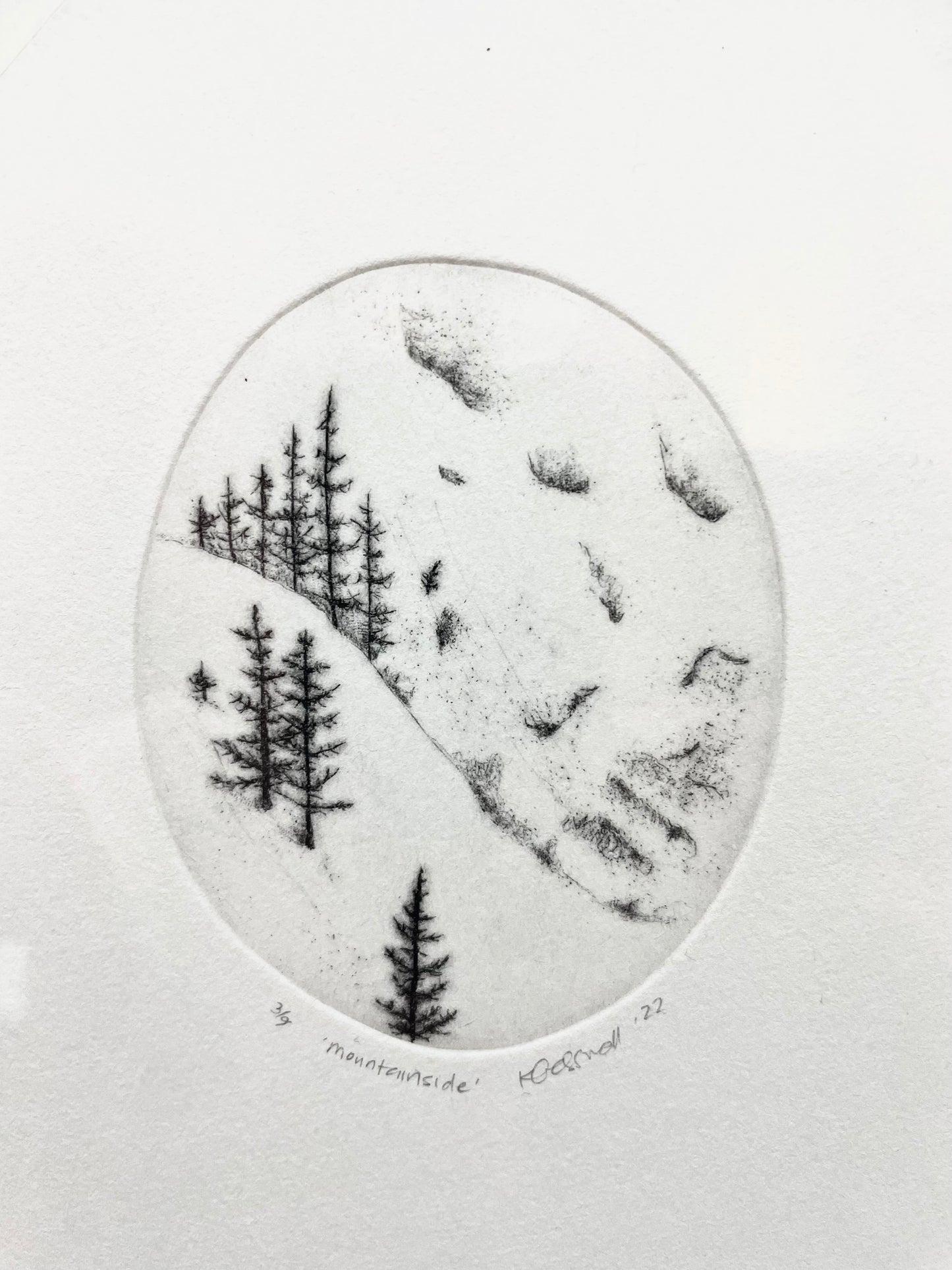 Mountainside