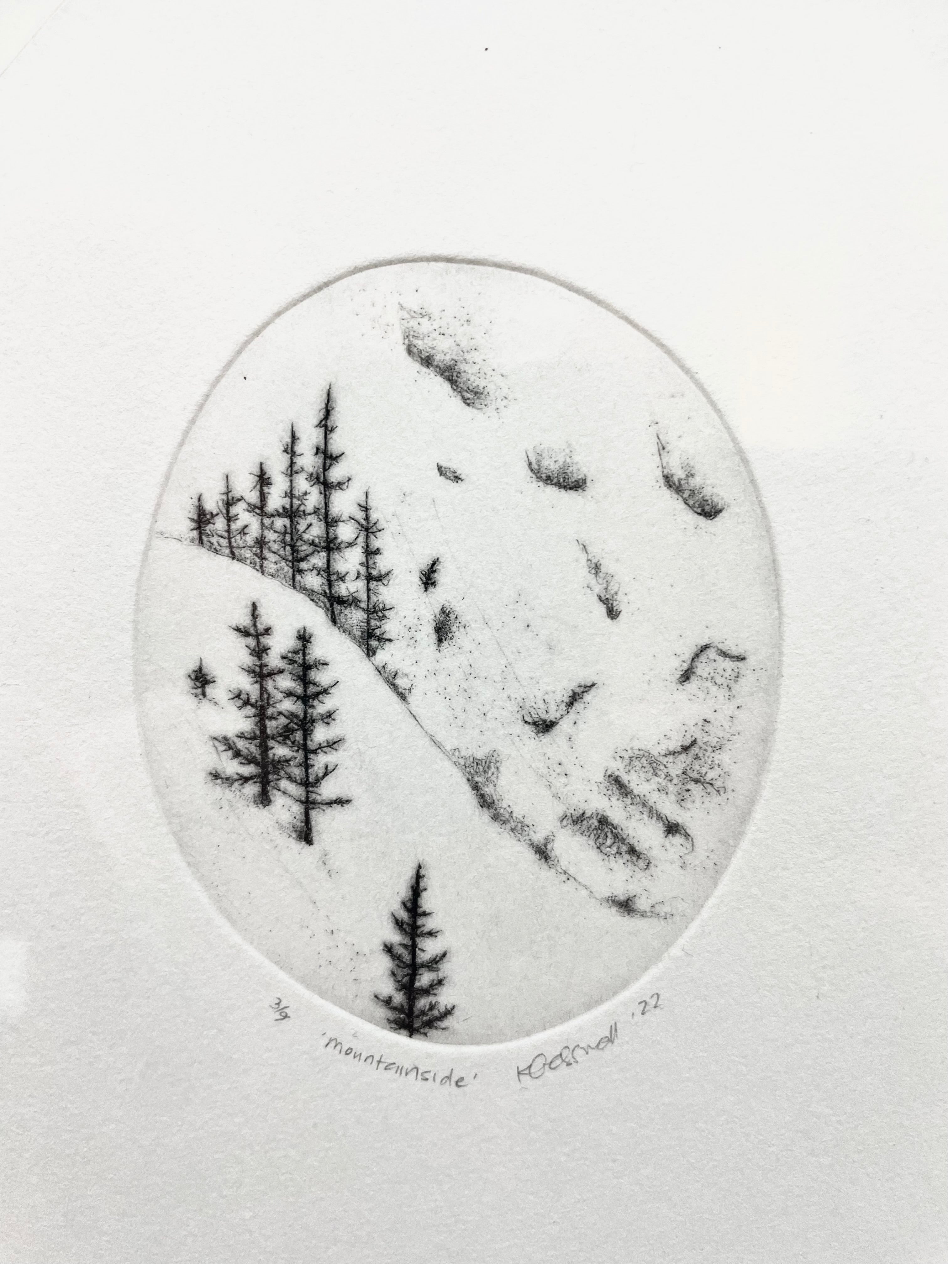 Mountainside