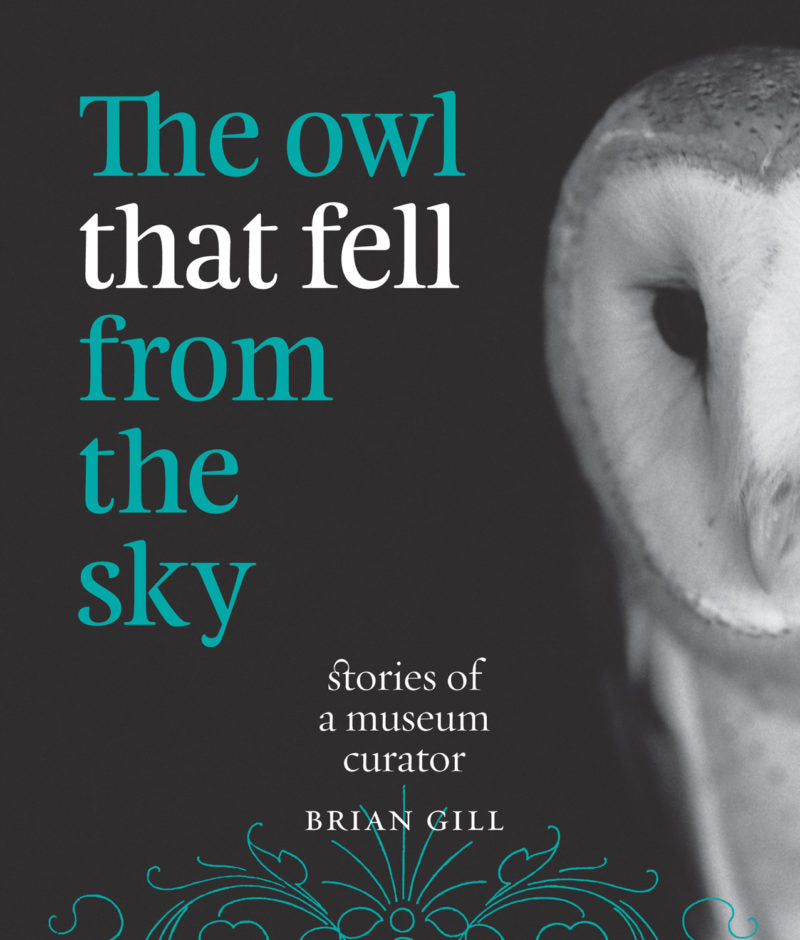 The Owl That Fell From The Sky