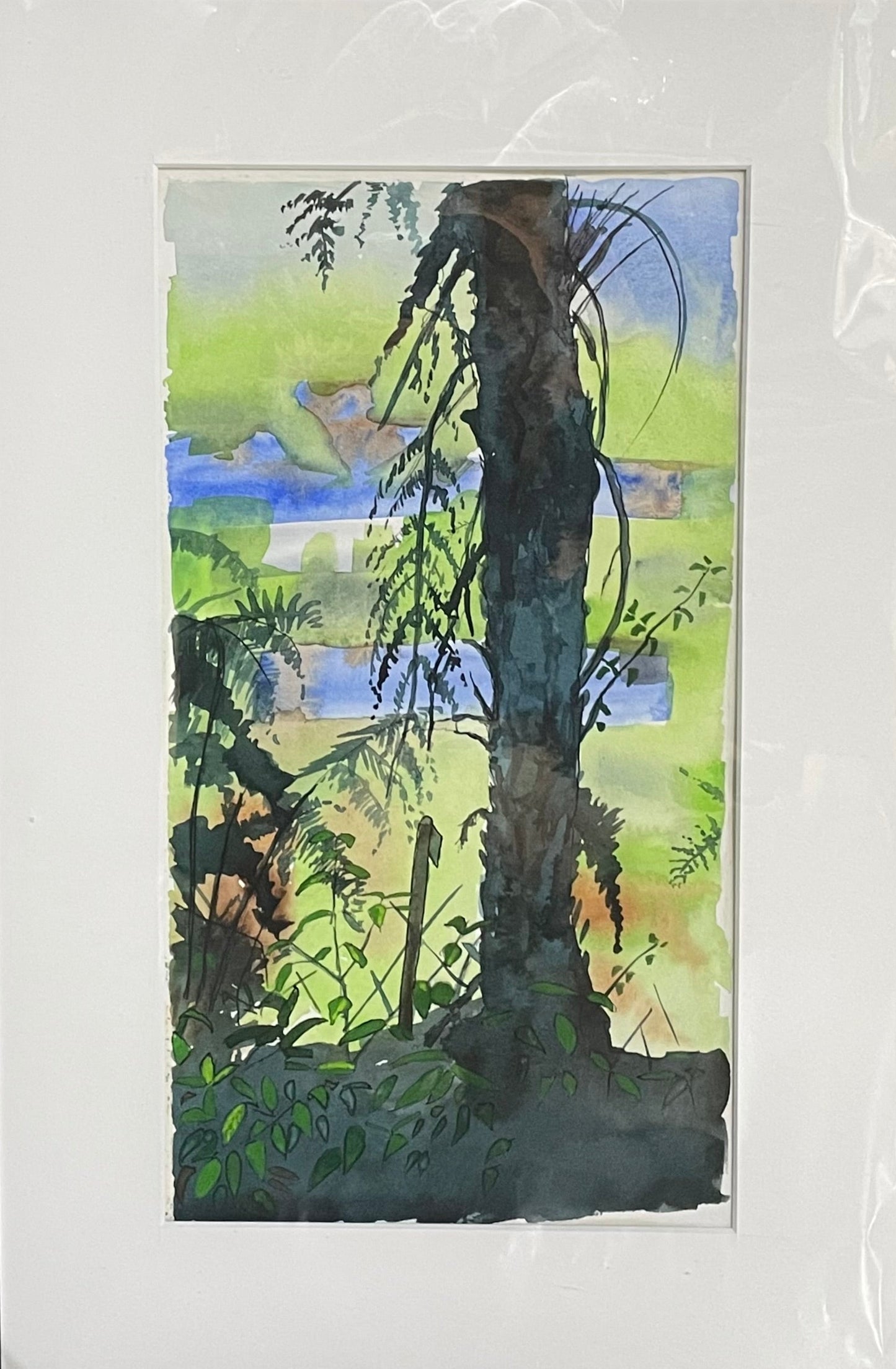 Punga Tree Watercolour