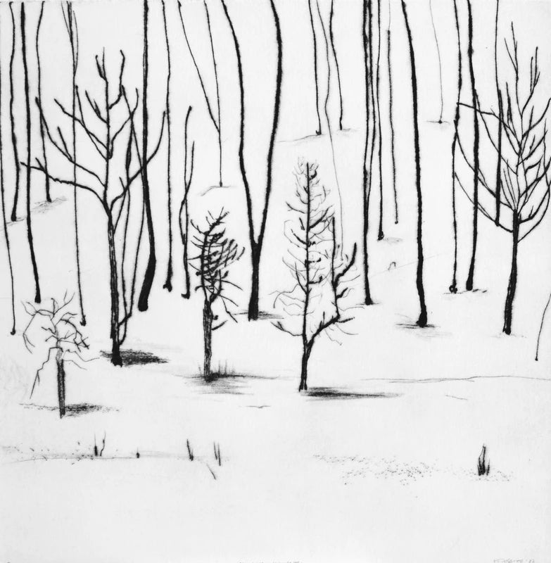 Greeting Card - Kyla Cresswell