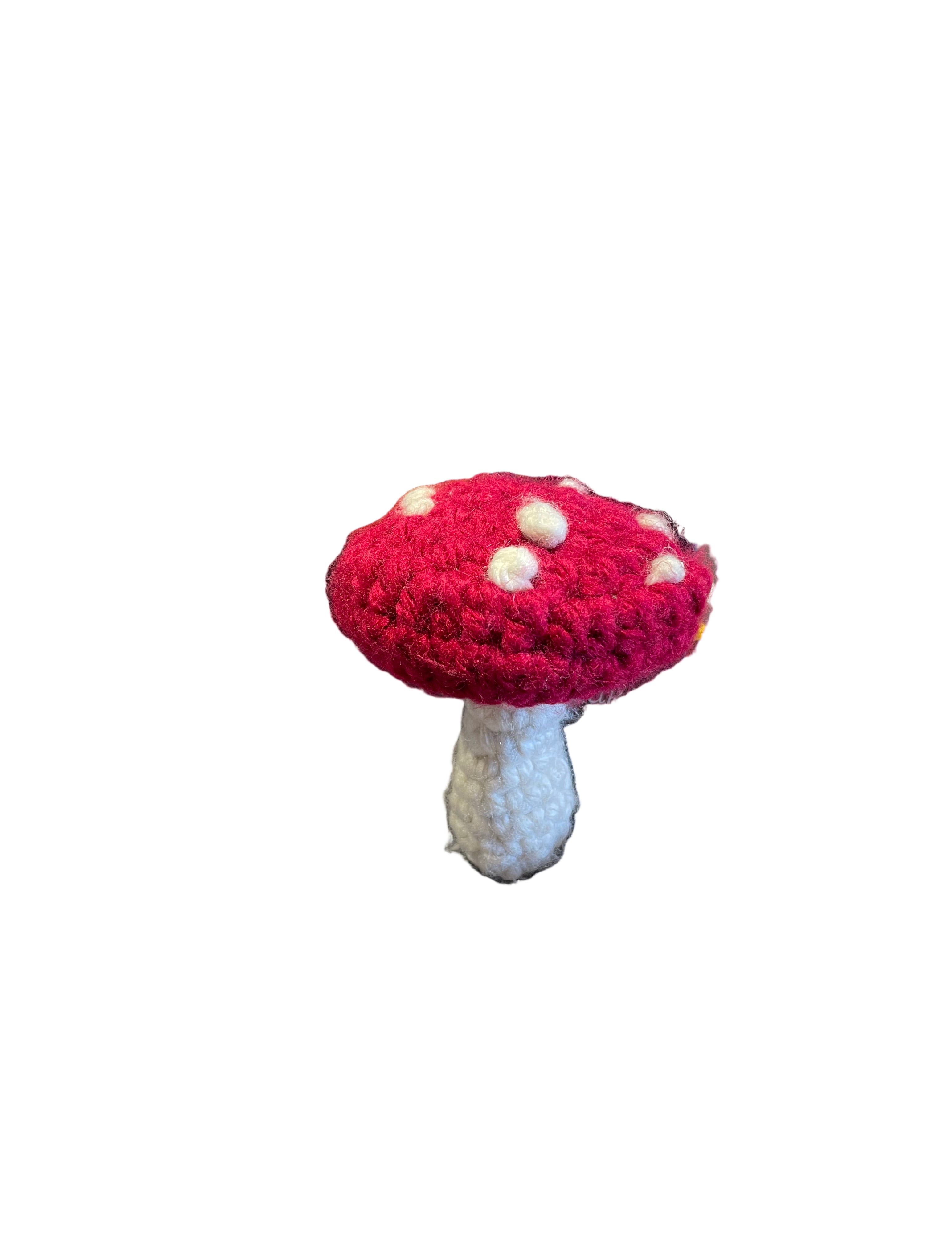 Crochet Mushroom Medium