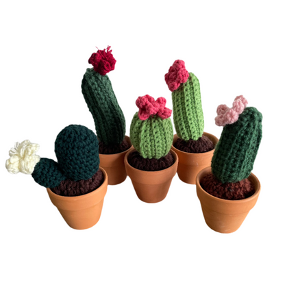 Cactus