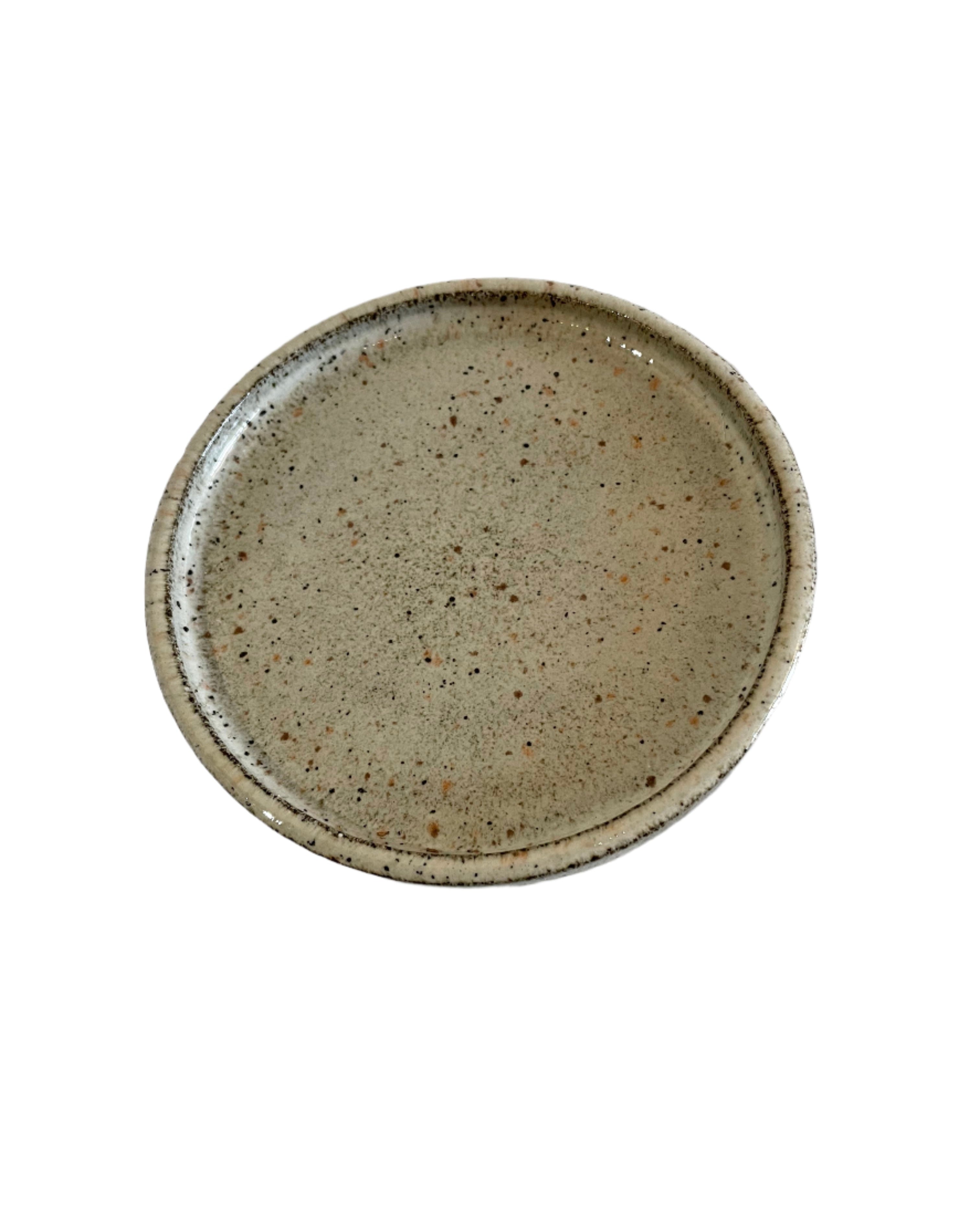 Speckled Plate - Large