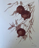 Original Wine Artworks - Pomegranate Tree painted with Dublin St, Martinburgh 2020