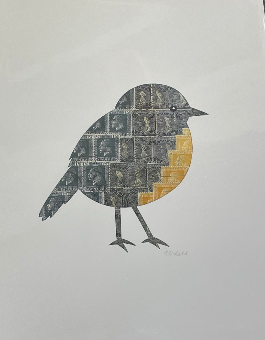 Rana Odell - South Island Robin