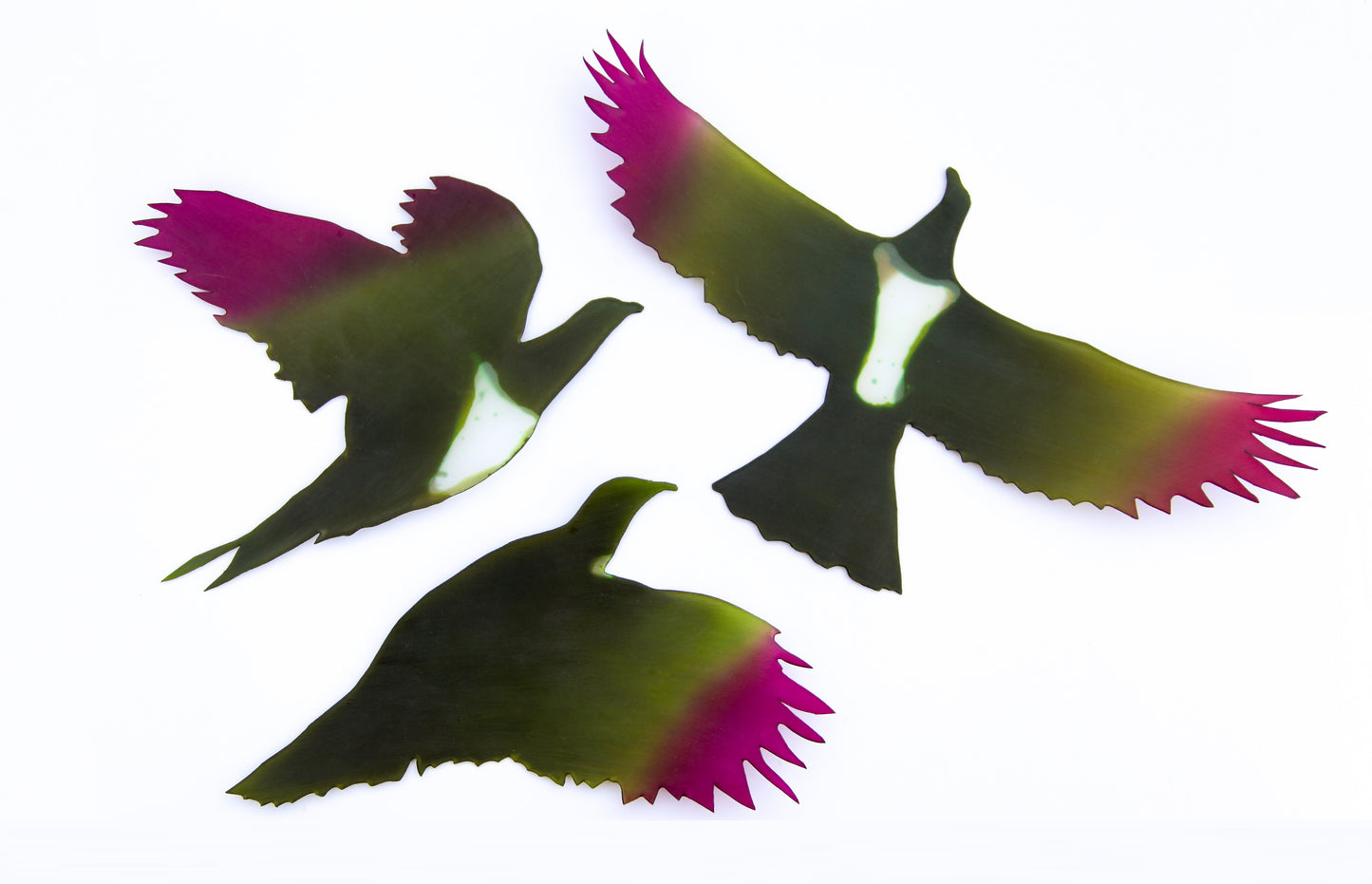 Andi Regan - Kereru (set of 3)