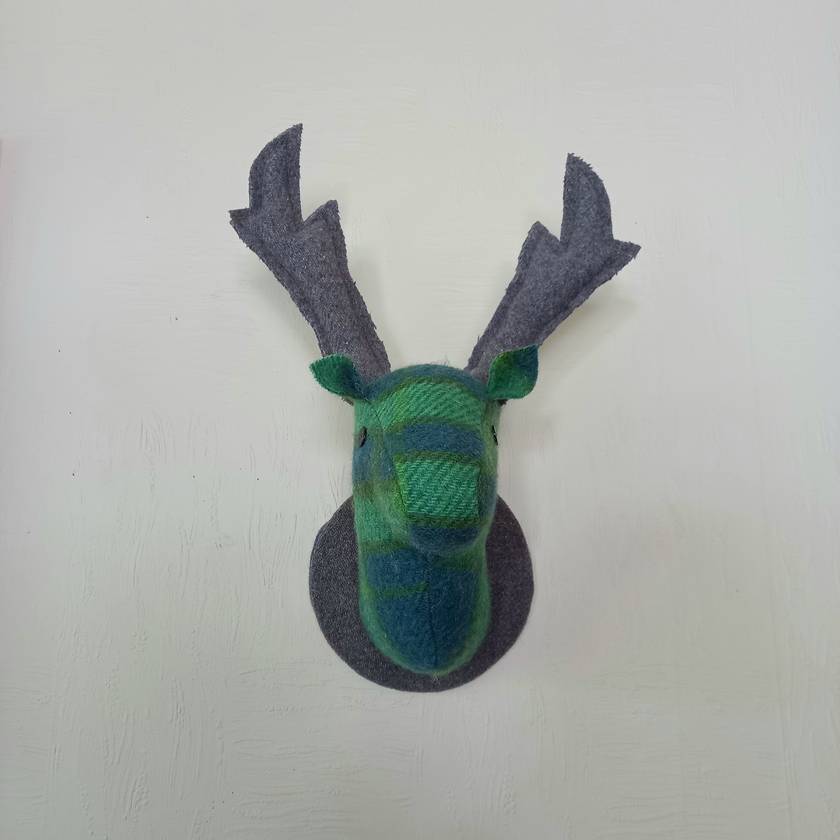 Te Wai Pounamu Buck