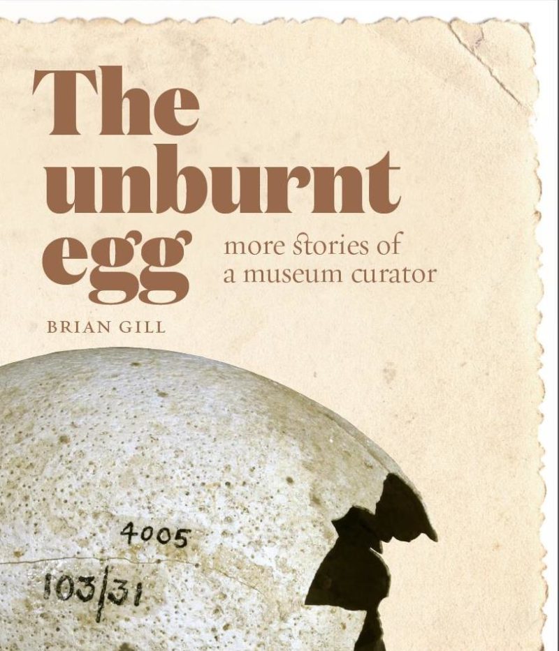 The Unburnt Egg