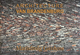 Architecture Van Brandenburg Book