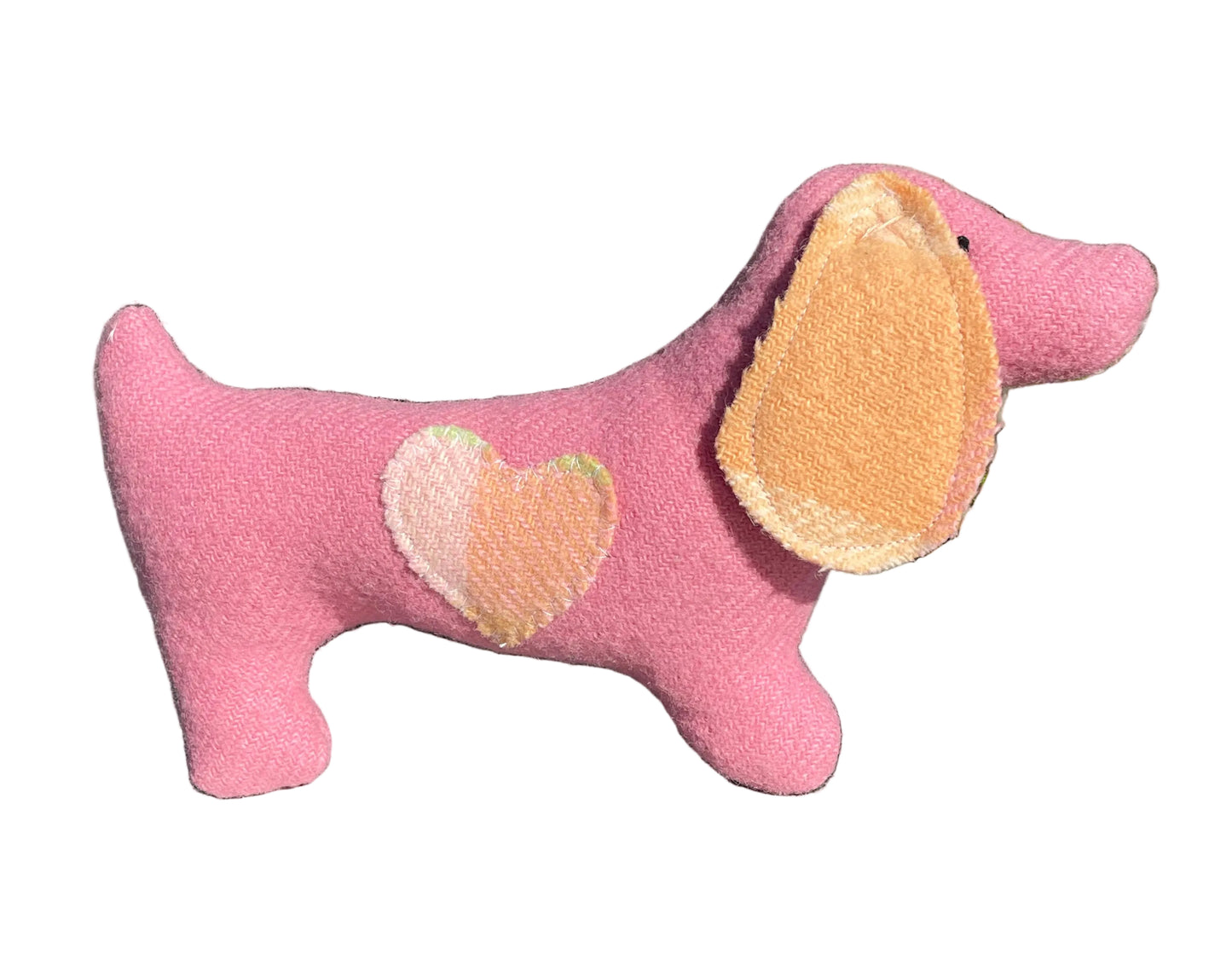 Doxie the Dachshund
