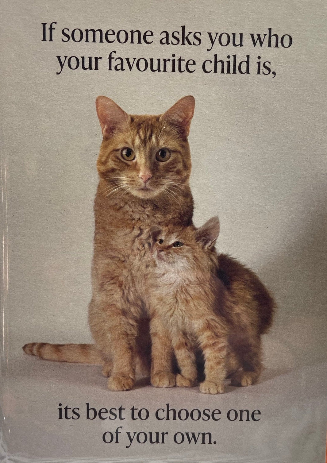 Greeting Cards - Blackwell Press