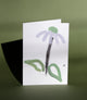 Lucky Luijk Botanical Cards